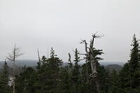 IMG 2699 small