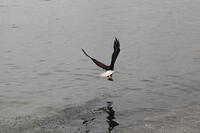 IMG 2734 small
