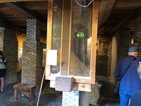 IMG 4478 small