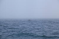 IMG 4777 small