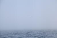 IMG 4779 small