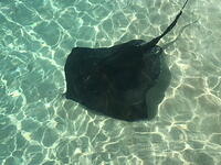 IMG 4226 small