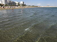 IMG 3380 small